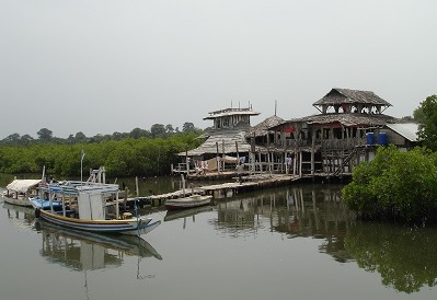 boat trips gambia