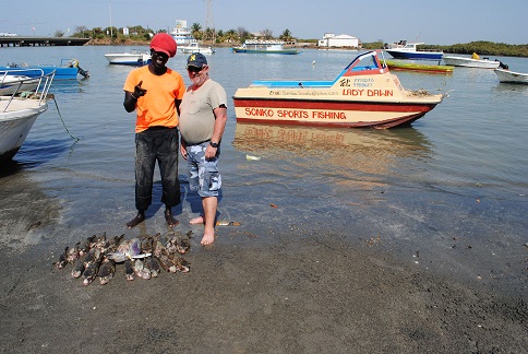 vissen gambia